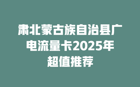 肃北蒙古族自治县广电流量卡2025年超值推荐