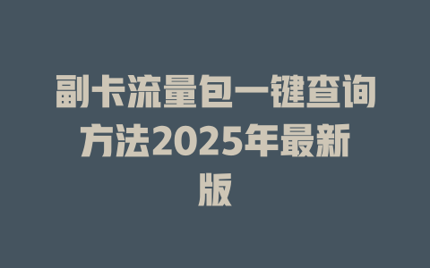 副卡流量包一键查询方法2025年最新版