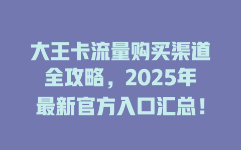 大王卡流量购买渠道全攻略，2025年最新官方入口汇总！