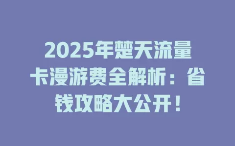 2025年楚天流量卡漫游费全解析：省钱攻略大公开！