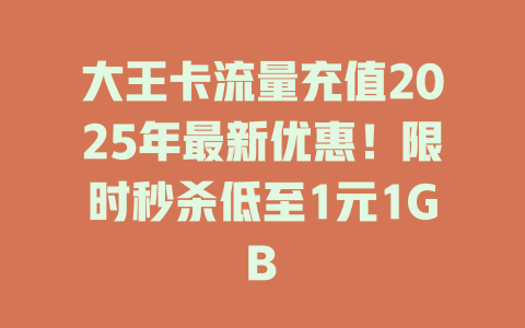 大王卡流量充值2025年最新优惠！限时秒杀低至1元1GB
