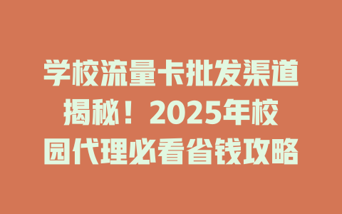 学校流量卡批发渠道揭秘！2025年校园代理必看省钱攻略
