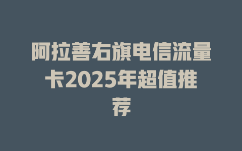 阿拉善右旗电信流量卡2025年超值推荐