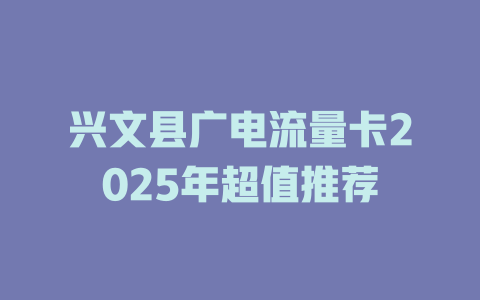 兴文县广电流量卡2025年超值推荐