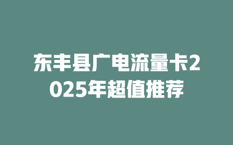 东丰县广电流量卡2025年超值推荐