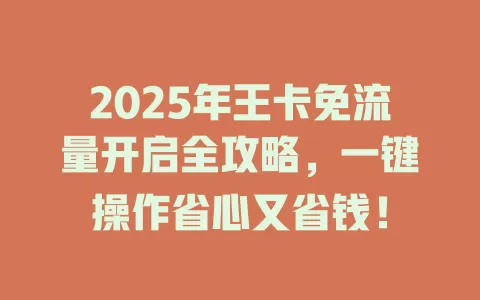 2025年王卡免流量开启全攻略，一键操作省心又省钱！