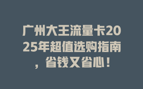 广州大王流量卡2025年超值选购指南，省钱又省心！