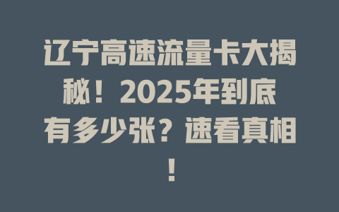 辽宁高速流量卡大揭秘！2025年到底有多少张？速看真相！