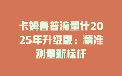 卡姆鲁普流量计2025年升级版：精准测量新标杆