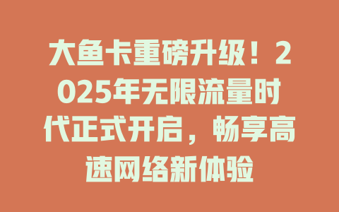 大鱼卡重磅升级！2025年无限流量时代正式开启，畅享高速网络新体验