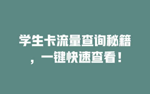 学生卡流量查询秘籍，一键快速查看！