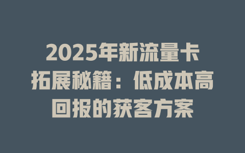 2025年新流量卡拓展秘籍：低成本高回报的获客方案