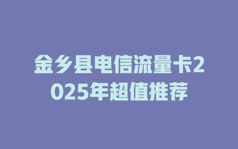 金乡县电信流量卡2025年超值推荐