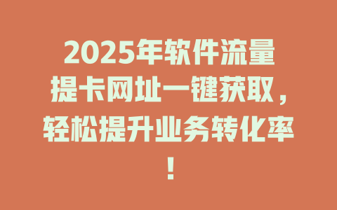 2025年软件流量提卡网址一键获取,轻松提升业务转化率!