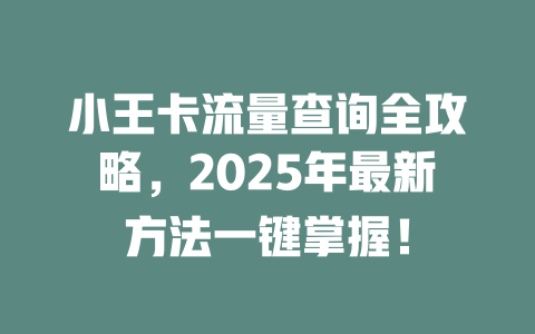小王卡流量查询全攻略，2025年最新方法一键掌握！