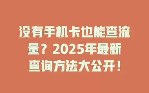 没有手机卡也能查流量？2025年最新查询方法大公开！