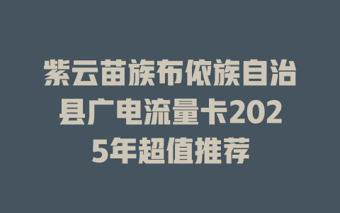 紫云苗族布依族自治县广电流量卡2025年超值推荐