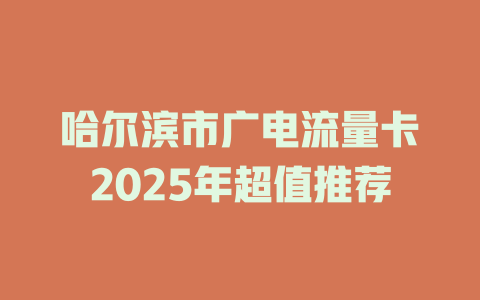 哈尔滨市广电流量卡2025年超值推荐