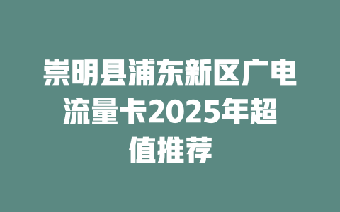 崇明县浦东新区广电流量卡2025年超值推荐
