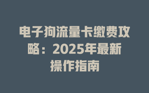 电子狗流量卡缴费攻略：2025年最新操作指南