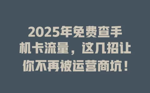2025年免费查手机卡流量，这几招让你不再被运营商坑！