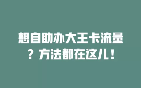 想自助办大王卡流量？方法都在这儿！