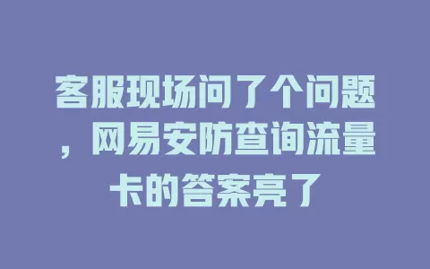 客服现场问了个问题，网易安防查询流量卡的答案亮了