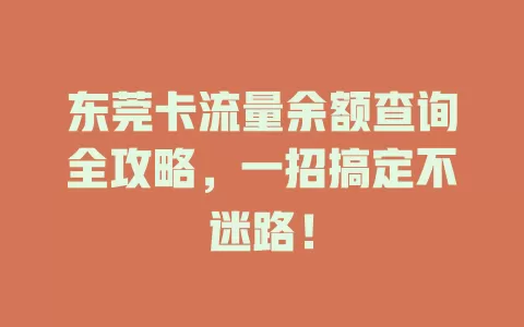 东莞卡流量余额查询全攻略，一招搞定不迷路！