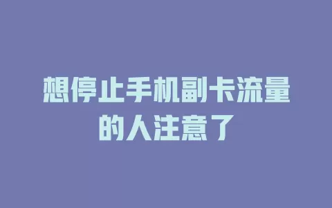 想停止手机副卡流量的人注意了