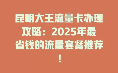 昆明大王流量卡办理攻略:2025年最省钱的流量套餐推荐!