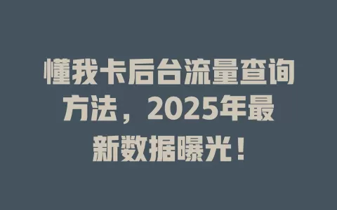 懂我卡后台流量查询方法，2025年最新数据曝光！