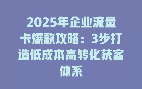 2025年企业流量卡爆款攻略：3步打造低成本高转化获客体系
