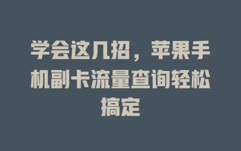 学会这几招，苹果手机副卡流量查询轻松搞定