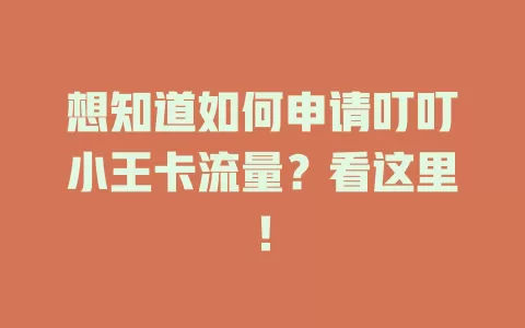 想知道如何申请叮叮小王卡流量？看这里！