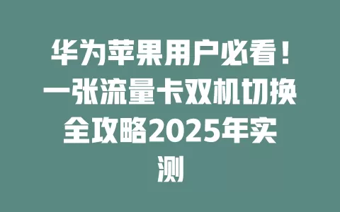 华为苹果用户必看！一张流量卡双机切换全攻略2025年实测