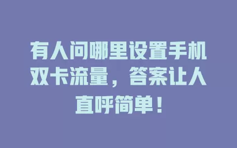 有人问哪里设置手机双卡流量，答案让人直呼简单！