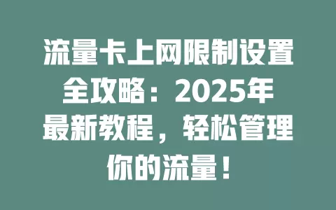 流量卡上网限制设置全攻略：2025年最新教程，轻松管理你的流量！