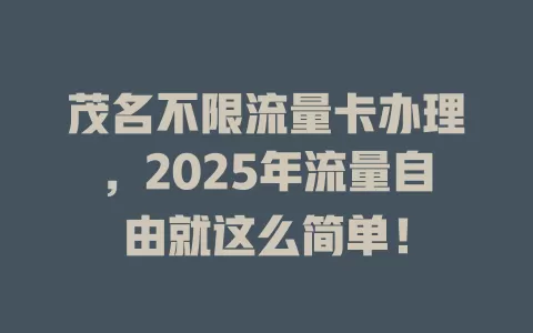 茂名不限流量卡办理，2025年流量自由就这么简单！