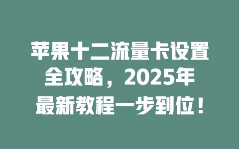 苹果十二流量卡设置全攻略，2025年最新教程一步到位！