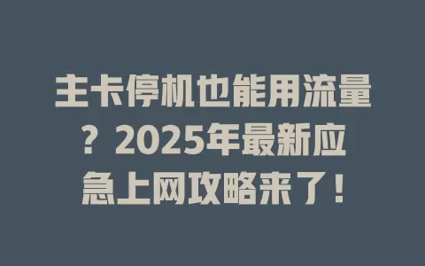 主卡停机也能用流量？2025年最新应急上网攻略来了！