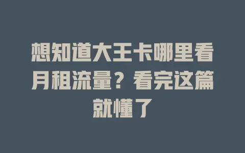 想知道大王卡哪里看月租流量？看完这篇就懂了
