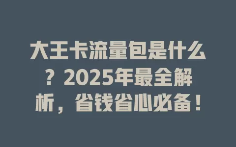 大王卡流量包是什么？2025年最全解析，省钱省心必备！