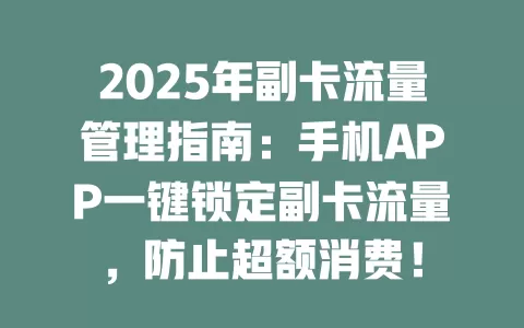 2025年副卡流量管理指南：手机APP一键锁定副卡流量，防止超额消费！