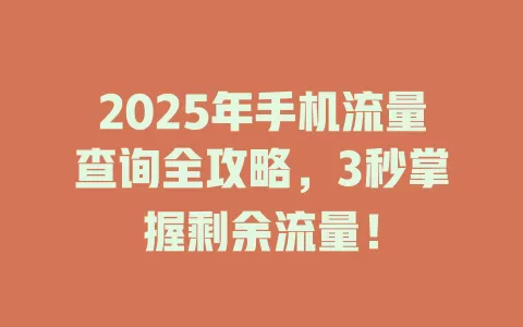 2025年手机流量查询全攻略，3秒掌握剩余流量！