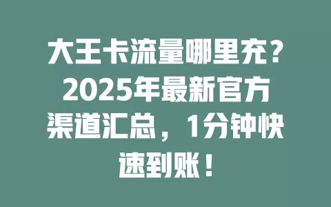 大王卡流量哪里充？2025年最新官方渠道汇总，1分钟快速到账！