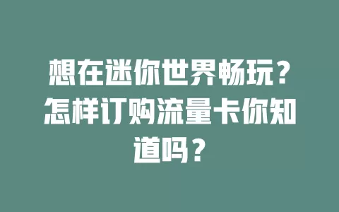 想在迷你世界畅玩？怎样订购流量卡你知道吗？