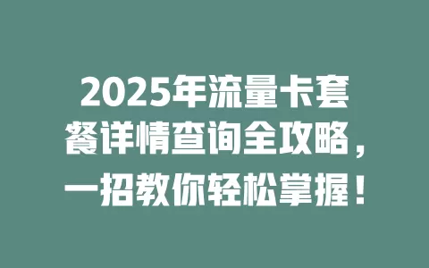 2025年流量卡套餐详情查询全攻略，一招教你轻松掌握！