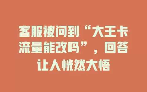 客服被问到“大王卡流量能改吗”，回答让人恍然大悟