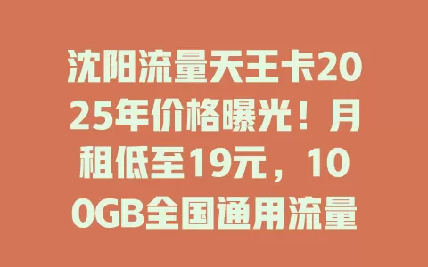 沈阳流量天王卡2025年价格曝光！月租低至19元，100GB全国通用流量