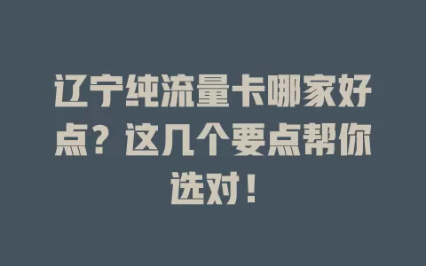 辽宁纯流量卡哪家好点？这几个要点帮你选对！